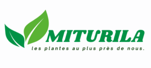 logo MITURILA - www.miturila.com